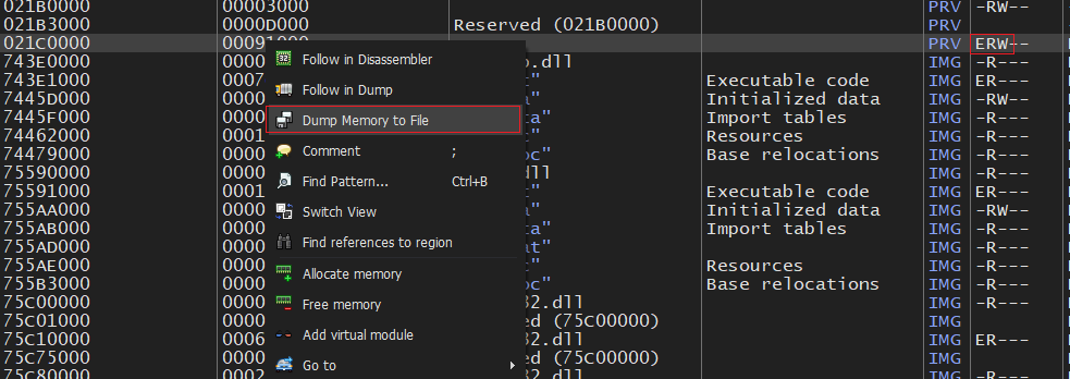 dump memory region